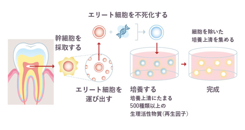 アイラッシュセラム